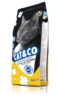 Cat & Go Dry 2kg